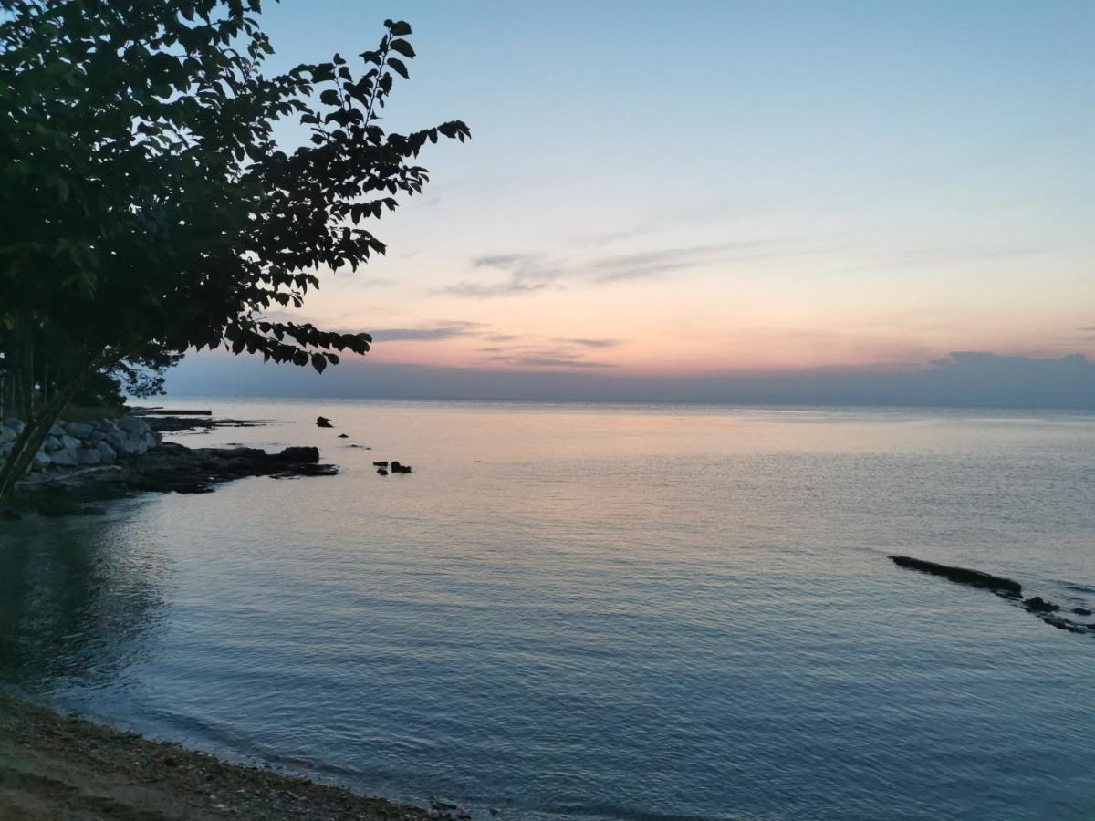 Resort Zatisje Savudrija Eksteriør billede
