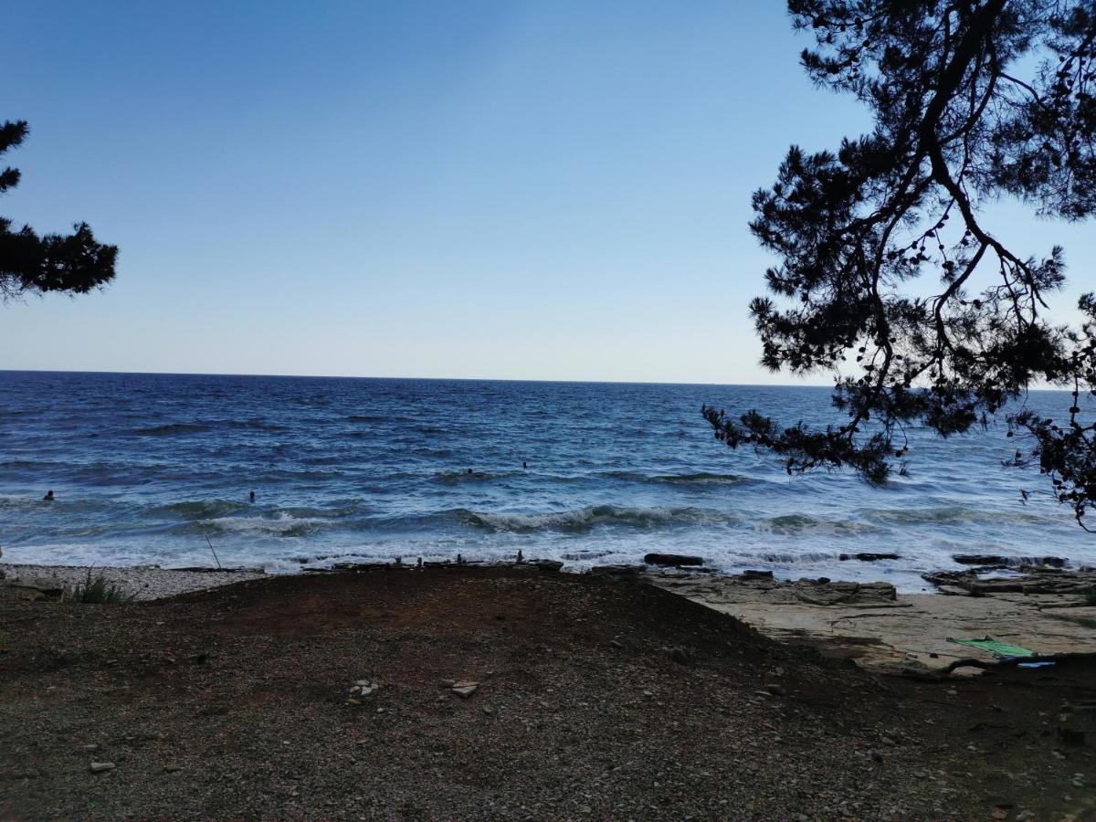 Resort Zatisje Savudrija Eksteriør billede